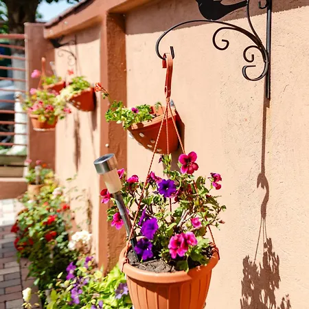 Flory De Inchiriat Eforie Nord