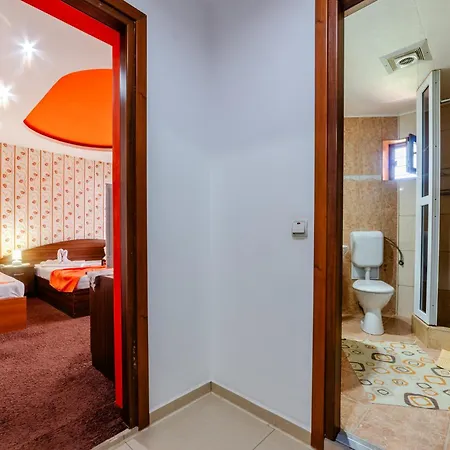 Guest house De Inchiriat Flory 3*