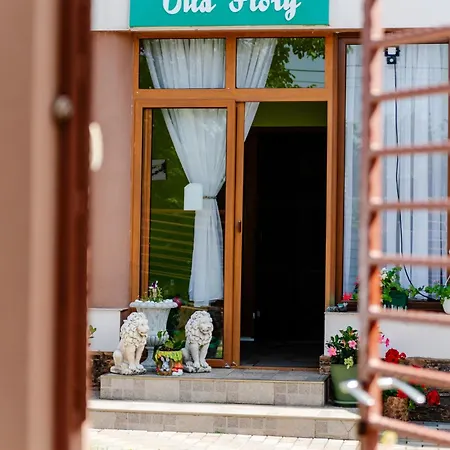 Guest house Flory De Inchiriat