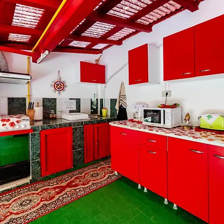 בית הארחה Flory De Inchiriat 3*